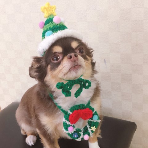 再販‼️犬用＆猫用 クリスマスツリー帽子🎄💖 クリスマス変身グッズ サンタさん