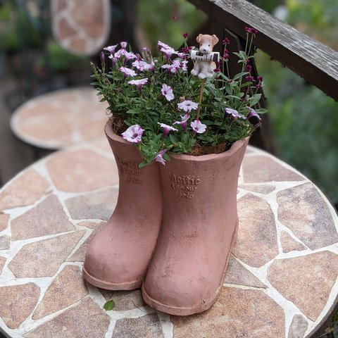 🌂雨の日も楽しい♡寄せ植え