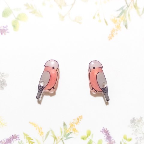 ～小さなピアスシリーズ～モモイロインコのピアス/ノンホールピアス(樹脂イヤリング)