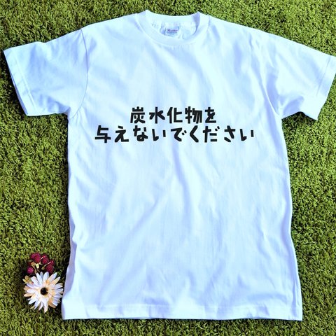 【ダイエット中】おもしろプリント★Ｔシャツ★色が選べる（炭水化物を与えないで）