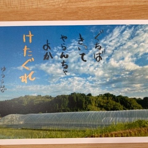 大牟田弁ポストカード6