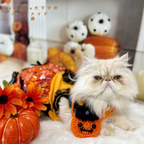 2023ver. 💜🎃かぼちゃポシェット🎃🧡　猫　ペット　ハロウィン