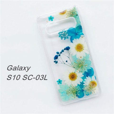 Galaxy S10 SC-03L / Galaxy S10+ SC-04L 