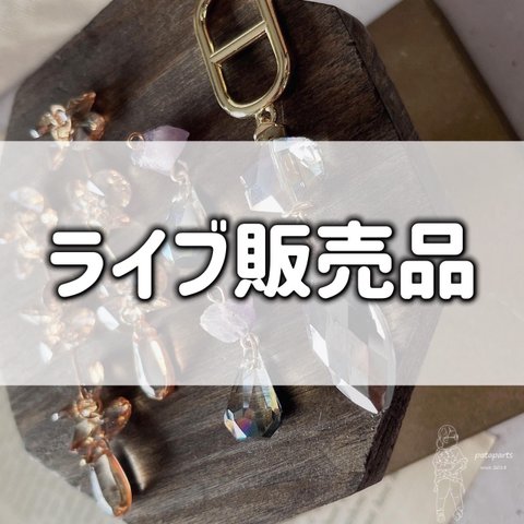 4/9  keco1****様専用ページ  ライブご購入品