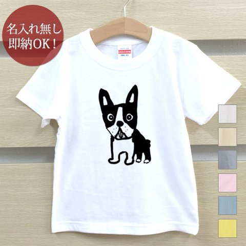 Ｔシャツ ベビー キッズ 子供 おもしろ 見つめるボストンテリア 犬 子犬 dog 動物  即納