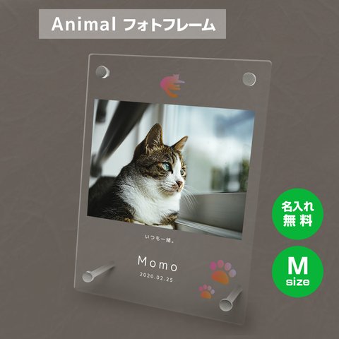 【名入れ無料】 フォトフレーム サイズM ペット ペットグッズ 写真立て フォトスタンド ペット用品 cat010m