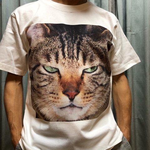 ねこTシャツ【F0002】
