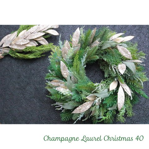 送料込＊Champagne Laurel Christmas 40