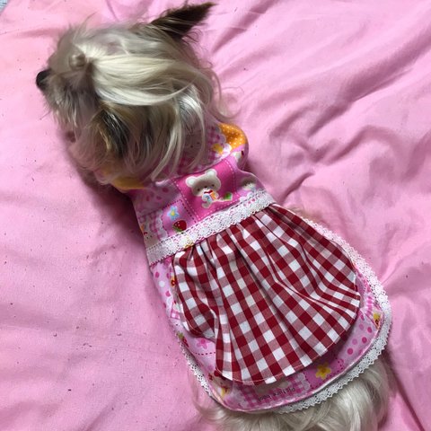 着せやすい犬服・くまさんのギンガムチェックエプロンドレス♪オーダーメイド♪