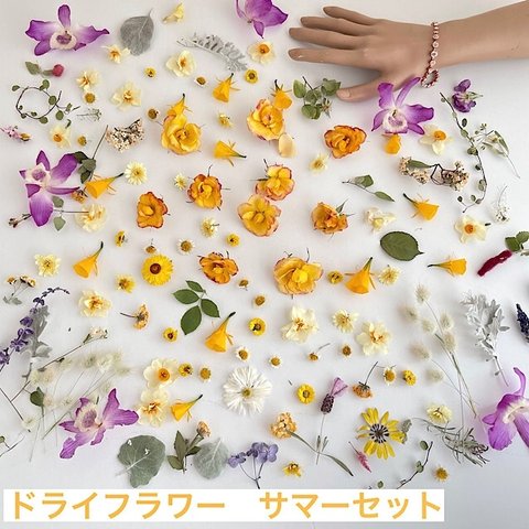 ドライフラワーアラカルトセット　花材　サマーローズガーデン