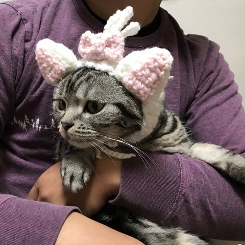 再販！猫用帽子  ピンクリボン