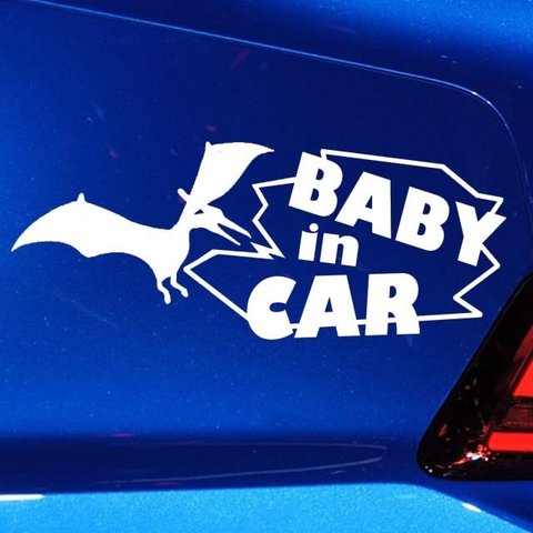 プテラ/ベイビーインカー baby in car kids