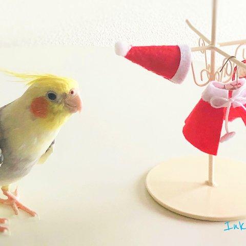 オカメインコ　クリスマスカード3枚セット③