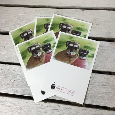 【5枚セット】透明水彩画のポストカード　看板犬