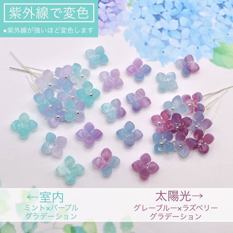 オリジナル★ 変色するお花のアセテートパーツ　紫陽花　クローバー　ミント×パープル→グレーブルー×ラズベリー