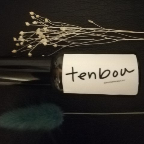 『tenbou-展望』ルームフレグランススプレー30ml-新月満月シリーズ-【山羊座新月】