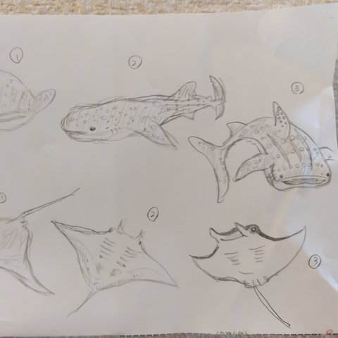 お魚さんたちイメージ画