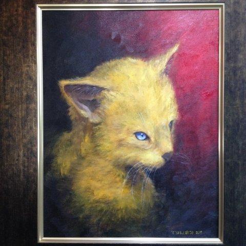 油絵F6号 黄色の猫の肖像