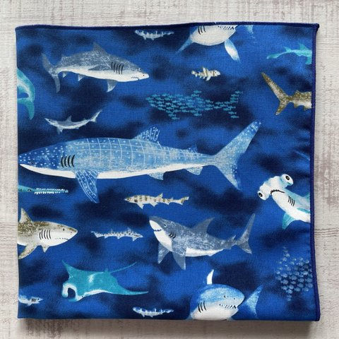 サメがいっぱい　海の生き物　ブルー系　正方形　42×42ランチクロス 