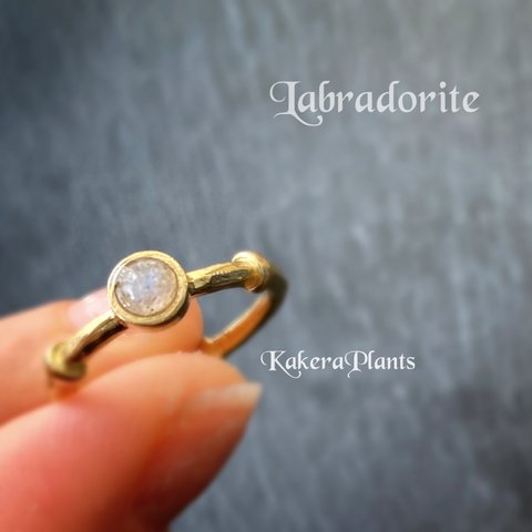 アウクセシアーの瞳 Gemstone Ring "Labradorite"