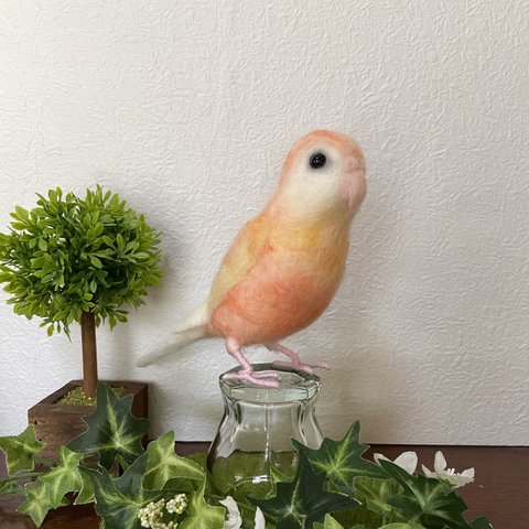 アキクサインコ 羊毛フェルト