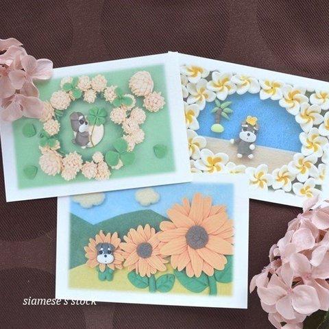 夏のお花とシュナウザー犬のポストカード3枚