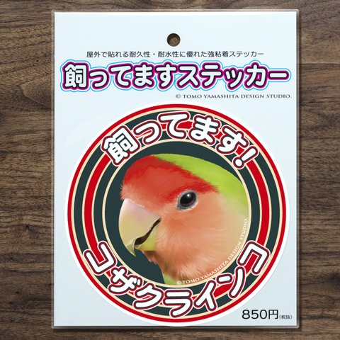 コザクラインコ 飼ってますステッカー