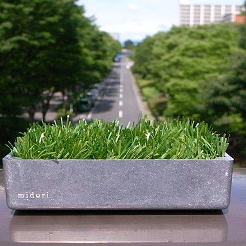 緑(グリーン)の芝(植物)とアルミの小物入れトレイ”midori-NA”