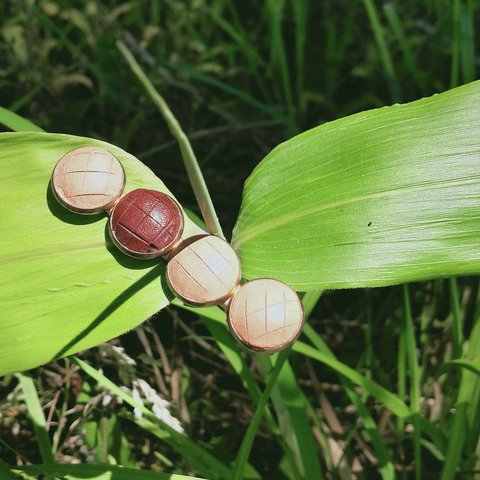 メロンパン🍈のクリップ