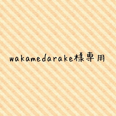 wakamedarake様専用