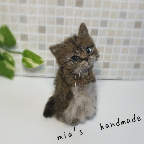 受注商品 mia   キジトラ   子猫  お願いポーズ  置物