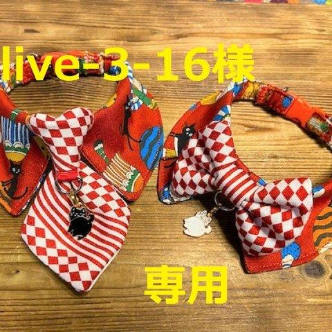 olive-3-16様　オーダー専用　cocochanチョーカー4点　ハイビスカス・キノコと猫