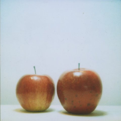 ポラロイド写真　りんご