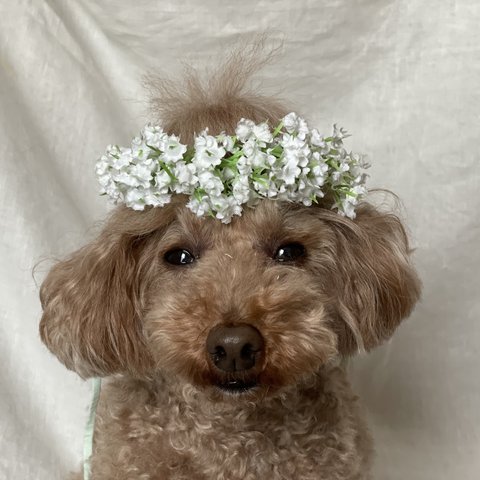 かすみ草の花かんむり＆カチューシャ＆チョーカー