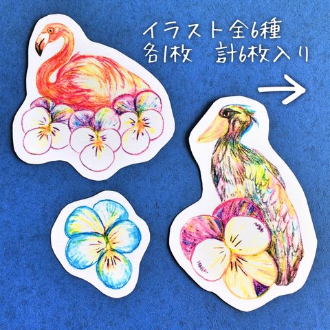 カラフルビオラ＊色鉛筆画な花鳥メッセージカード