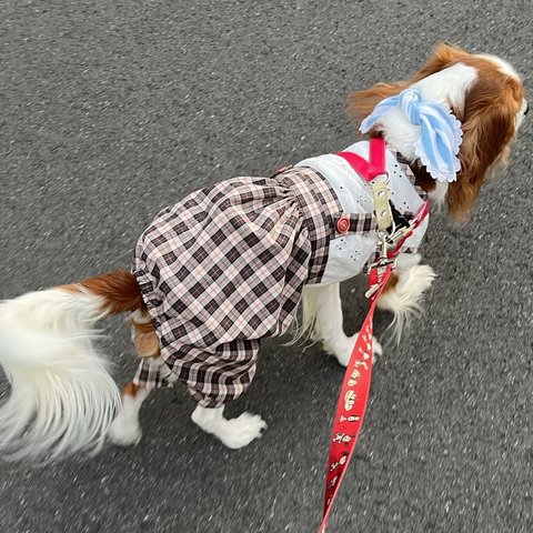 犬服オーバーオールロンパース　オフホワイト綿レース身頃　　ブラウン系チェックロンパース　新作💕