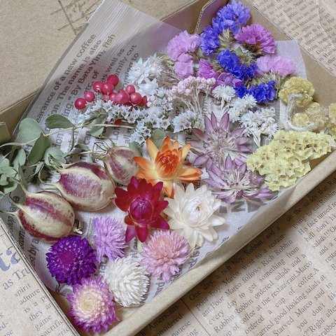 ドライフラワー 花材 13種セット