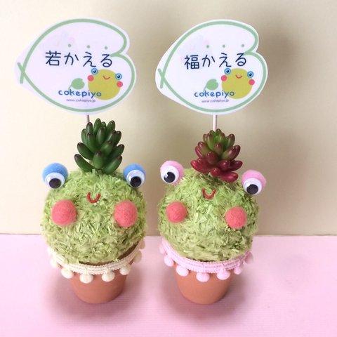 メッセージが選べます！【カエルちゃん　小　2個セット】　多肉植物のヒヨコ雑貨コケぴよ