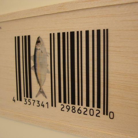 Fish barcode