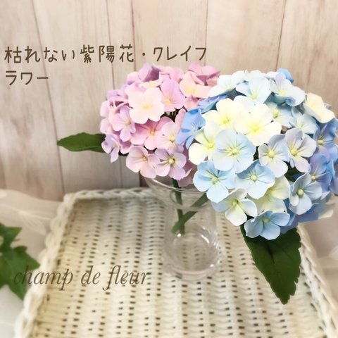 枯れない紫陽花・クレイフラワー