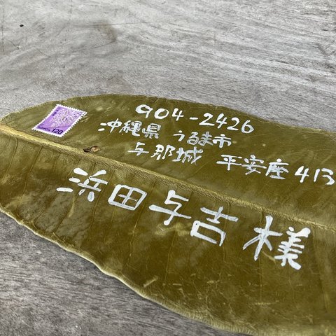 本物の大きな葉っぱで作った、沖縄の福木の葉書(ポストカード）【送料無料】