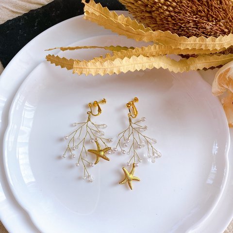 star fish pierce /earring 14kgf 16kgp対応