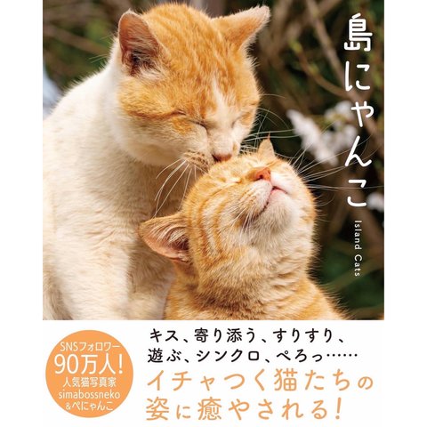 写真集『島にゃんこ』サイン入り本　Photobook "Shima Nyanko (Island Cats)"