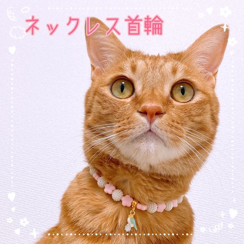 猫の首輪🐈ピンクお花ビーズ✨ネックレス首輪♡小鳥チャーム‪🦜‬