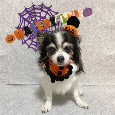 犬 ハロウィン かぼちゃ 帽子 ♡ 猫 ハロウィン 帽子 ペット ハロウィン帽子 かぼちゃ帽子 被り物 かぶりもの 冠 ニット帽 ニット