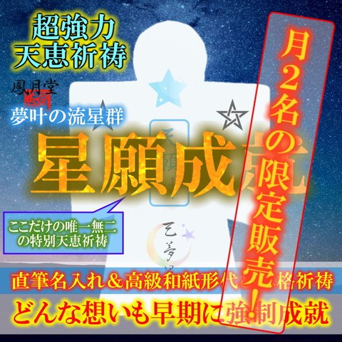 【星願成就 夢叶の流星群】お守り 願望成就 夢叶う 願い 開運 金運 縁結び 奇跡引き寄せ 形代