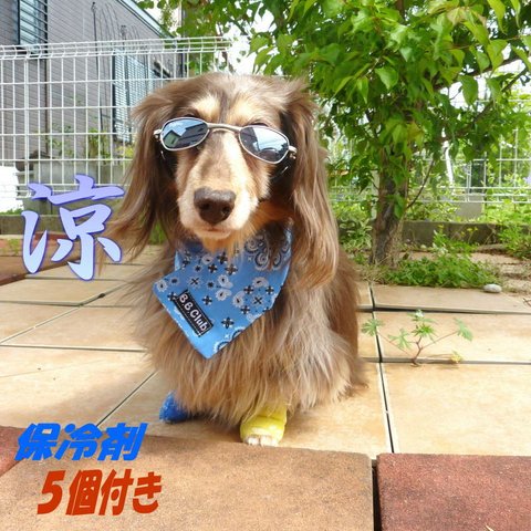 【小型犬・中型犬・大型犬】保冷剤５個付き☆クールバンダナ ☆ペイズリー