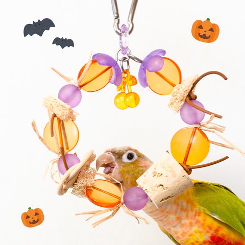 鳥さんのハロウィン🎃リース【インコ・文鳥のおもちゃ】