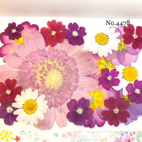 ♡new♡作家様必見♡押し花MIXセット♡押し花セット