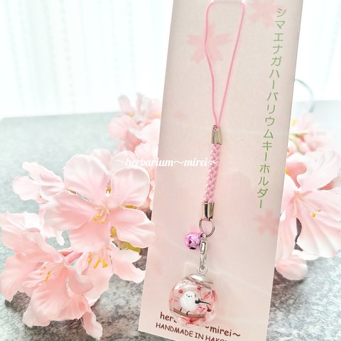 【再販！】大人気！シマエナガちゃんのキーホルダー 春ver.  桜 ハーバリウムキーホルダー 根付け 宝来鈴付き